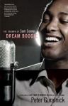 Dream Boogie cover